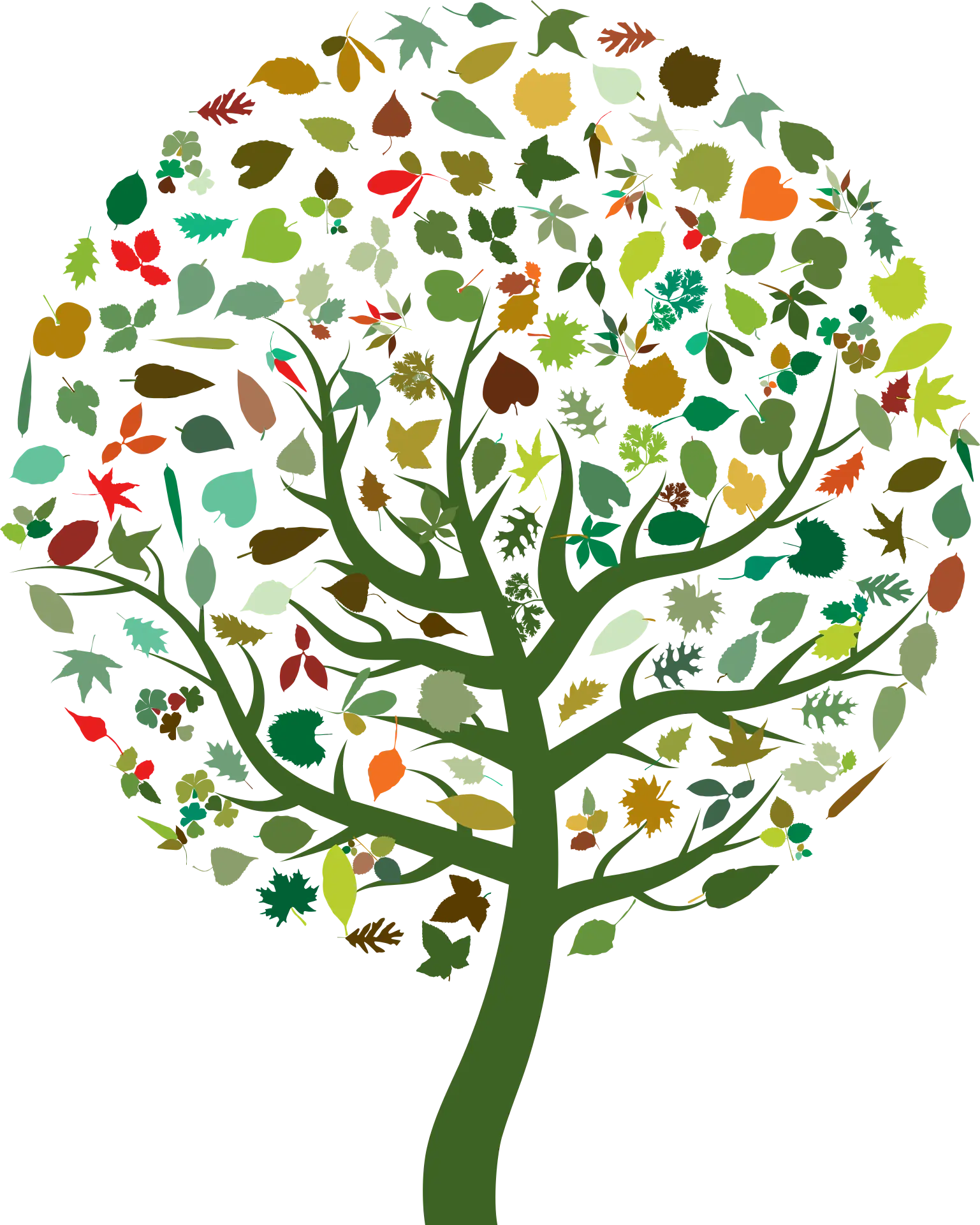 illustration of a tree