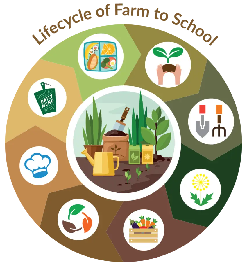 farm to school cycle